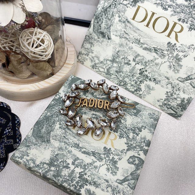 Dior飾品 迪奧經典熱銷款頭飾 Dior髮夾  zgd1001